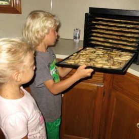 A Lesson in Food Preservation Image